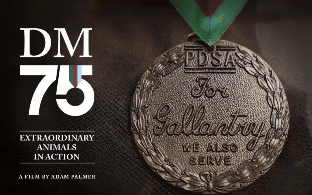 PDSA Dickins Medal Film